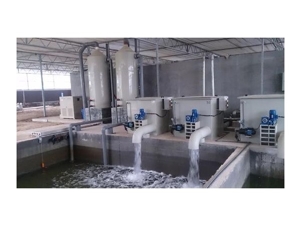 循環水除垢器，選沃肯電子除垢儀