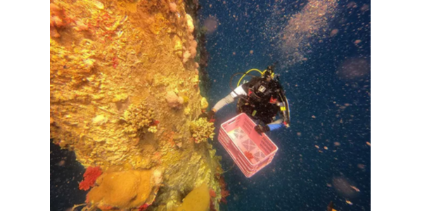 索樂(lè)圖自然光照明系統(tǒng)——減少碳排放，不再為垃圾分類(lèi)煩惱！